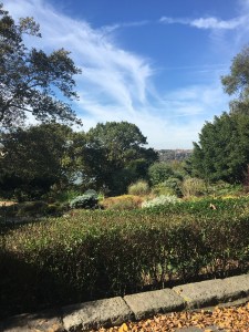 File Oct 29, 2 37 01 PM